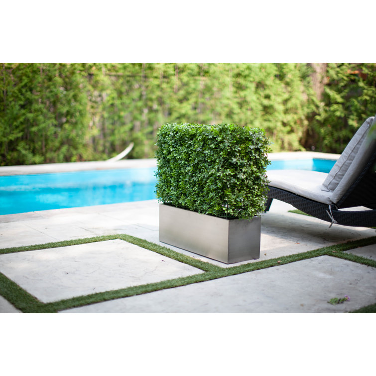 Algreen Stainless Steel Planter Box Wayfair